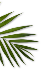 Anma Centre Anti-Stress